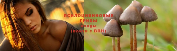 a pvp Арсеньев