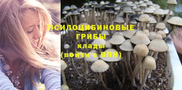 хмурый Аркадак