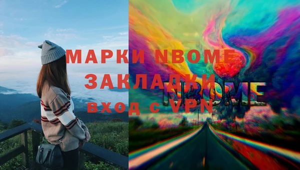 хмурый Аркадак